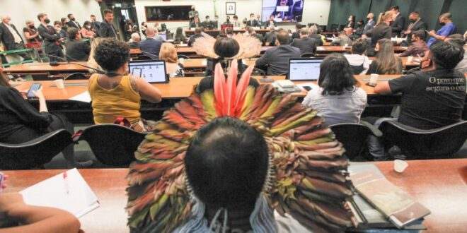 Para delegado, morte de crianças Yanomami em área de garimpo pode ter sido acidental