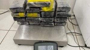 Polícia apreende mais de 18 quilos de maconha em táxi com destino a Rio Branco
