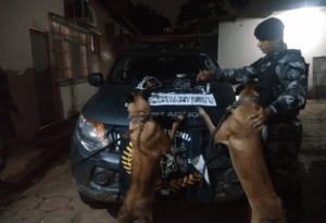 Com ajuda de cães farejadores, casal é preso por tráfico de drogas