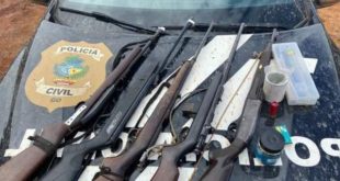 Homem acusado de decapitar 5 cães é preso com armas de uso restrito