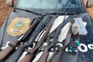 Homem acusado de decapitar 5 cães é preso com armas de uso restrito