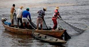 Alteração do Deguro-Defeso: Projeto prevê disponibilização de curso profissionalizante para pescador durante defeso