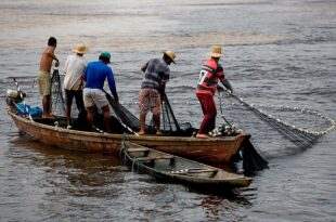Alteração do Deguro-Defeso: Projeto prevê disponibilização de curso profissionalizante para pescador durante defeso