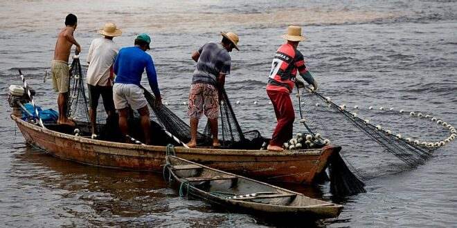 Alteração do Deguro-Defeso: Projeto prevê disponibilização de curso profissionalizante para pescador durante defeso