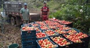 Comissão aprova criação de política de mobilidade para facilitar escoamento da produção rural