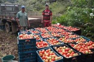 Comissão aprova criação de política de mobilidade para facilitar escoamento da produção rural