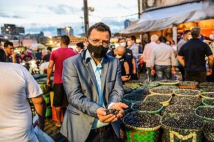 No Pará, Gonzaga visita produção de açaí e debate com BASA incentivos para setor produtivo do Acre