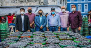 Em busca do fortalecimento da produção de açaí no Acre, Jenilson Leite e comitiva buscam subsídios no Pará