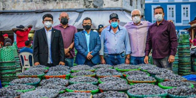 Em busca do fortalecimento da produção de açaí no Acre, Jenilson Leite e comitiva buscam subsídios no Pará
