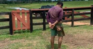 Homem agride e ameaça a namorada do pai e chega a matar um cão de estimação da mulher