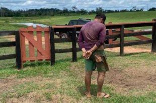 Homem agride e ameaça a namorada do pai e chega a matar um cão de estimação da mulher