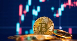 Após investimento recorde em 2021, regulamentação de criptomoedas deve avançar