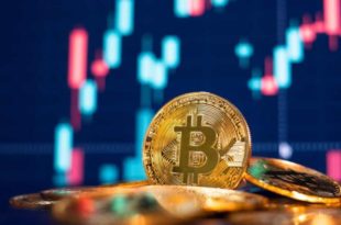 Após investimento recorde em 2021, regulamentação de criptomoedas deve avançar