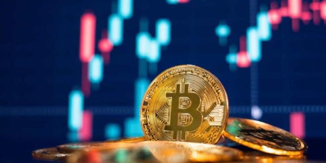 Após investimento recorde em 2021, regulamentação de criptomoedas deve avançar