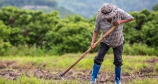 Comissão aprova crédito para pequeno agricultor aplicar em irrigação e armazenamento