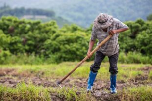 Comissão aprova crédito para pequeno agricultor aplicar em irrigação e armazenamento