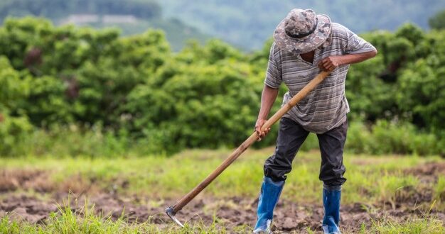 Comissão aprova crédito para pequeno agricultor aplicar em irrigação e armazenamento