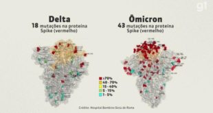 Mundo atravessa um "momento crítico" da pandemia de Covid-19, alerta OMS