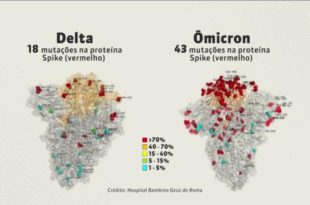 Mundo atravessa um "momento crítico" da pandemia de Covid-19, alerta OMS