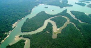 Projeto prioriza aplicação de recursos de fundo ambiental em bacias hidrográficas
