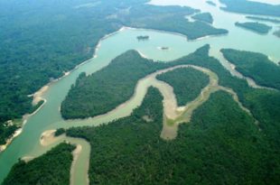 Projeto prioriza aplicação de recursos de fundo ambiental em bacias hidrográficas