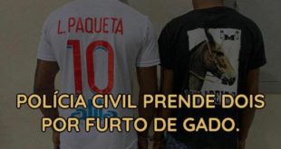 Polícia Civil prende duas pessoas pelo crime de furto de gado em Feijó