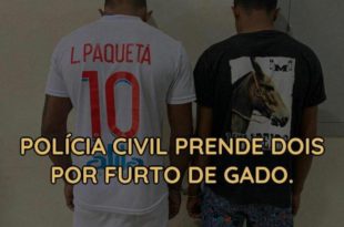 Polícia Civil prende duas pessoas pelo crime de furto de gado em Feijó