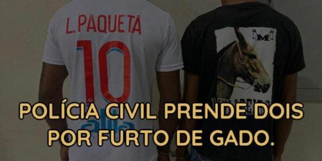 Polícia Civil prende duas pessoas pelo crime de furto de gado em Feijó
