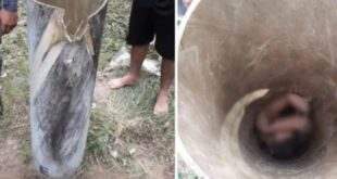 Corpo de jovem é encontrado dentro de poste oco de fibra no Amazonas