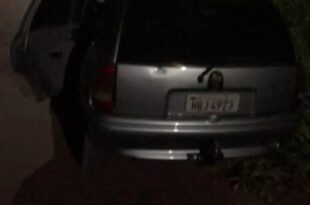 Cão fica de vigia em cima de carro furtado até dono de veículo aparecer: ‘ganhei um companheiro’