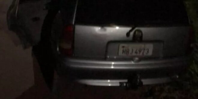 Cão fica de vigia em cima de carro furtado até dono de veículo aparecer: ‘ganhei um companheiro’