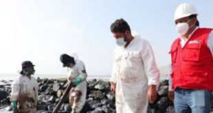 Vazamento de mais de 1 milhão de litros de petróleo atingiu 1800 m² e atingiu flora e fauna do Peru