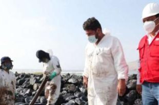 Vazamento de mais de 1 milhão de litros de petróleo atingiu 1800 m² e atingiu flora e fauna do Peru