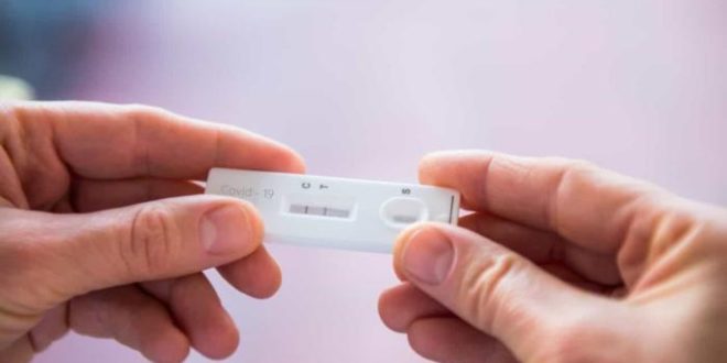 Autoteste de covid: saiba preços e quando produtos devem chegar ao mercado