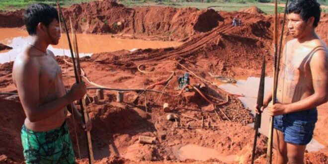 Bancos norte-americanos são os principais financiadores de mineradoras com atividades que impactam terras indígenas na Amazônia