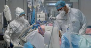 Brasil registra 431 mortes por Covid e mais de 68 mil casos em 24 h