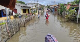 Cheia do Rio Juruá atinge 28 mil pessoas em Cruzeiro do Sul