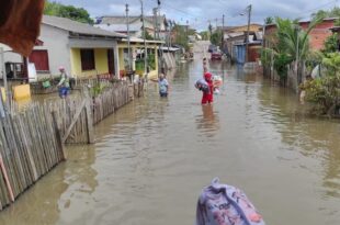 Cheia do Rio Juruá atinge 28 mil pessoas em Cruzeiro do Sul