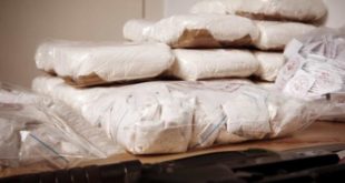 Cocaína adulterada que matou 24 na Argentina tinha anestésico de elefante, diz jornal