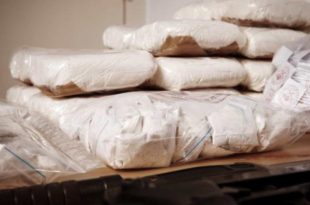 Cocaína adulterada que matou 24 na Argentina tinha anestésico de elefante, diz jornal