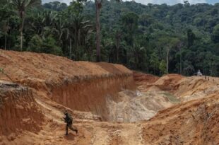 Desmatamento por mineração na Amazônia bate recorde e cresce 62% no governo Bolsonaro