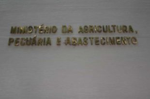 Governo diz que apresentará dados para reverter suspensão de frango pela China