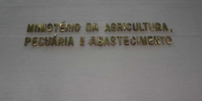 Governo diz que apresentará dados para reverter suspensão de frango pela China