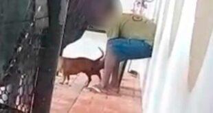 Homem é filmado cometendo zoofilia com cadela no bairro Sobral; caso vai parar na polícia