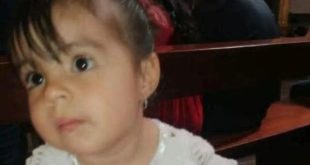Menina de 2 anos morre após comer biscoito envenenado que era para cachorro