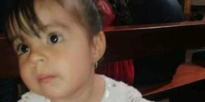 Menina de 2 anos morre após comer biscoito envenenado que era para cachorro