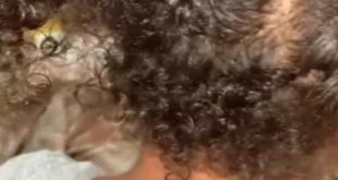 Menina de 8 anos tem cabelo cortado dentro de transporte escolar em Rio Largo, AL