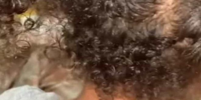 Menina de 8 anos tem cabelo cortado dentro de transporte escolar em Rio Largo, AL