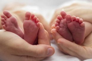 Pela 1ª vez, gêmeos gerados com DNA de dois pais nascem no Brasil