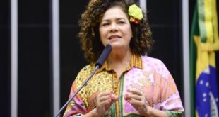 Perpétua apresenta projeto para proibir a cobrança de bagagens em voos nacionais